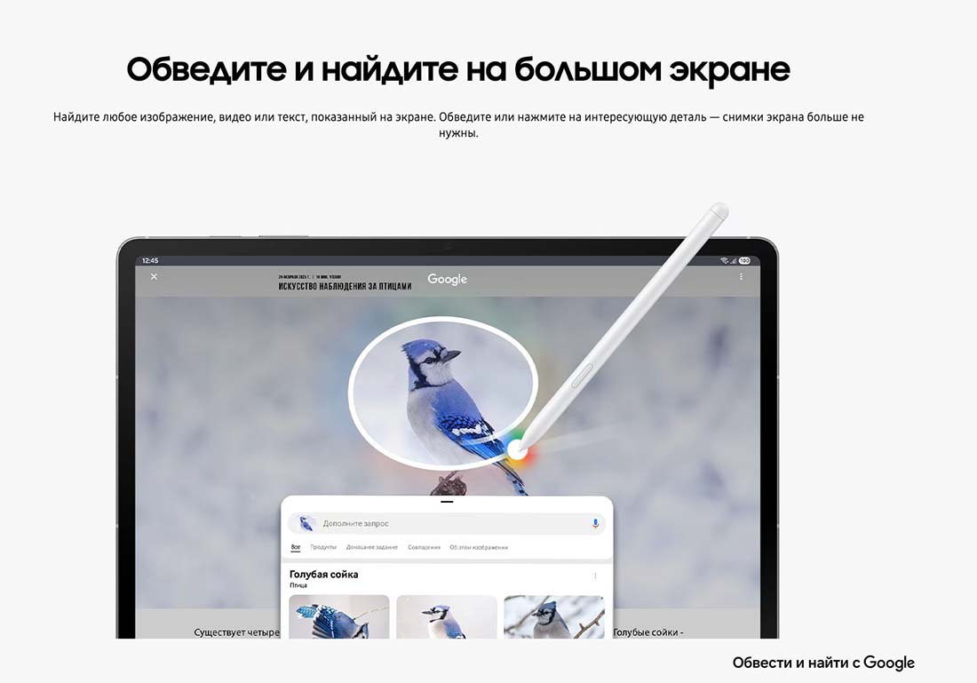 galaxy-tab-s10-fe в Кемерове galaxy-tab-s10-fe