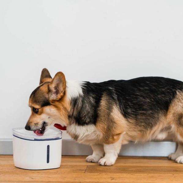 Автопоилка для животных Xiaomi Smart Pet Fountain Petoneer Fresco Mini Plus (WF004) Белый